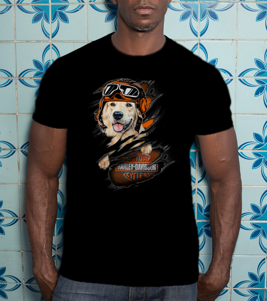 Golden Retriever Wearing Biker Helmet With Harley Davidson Motorcycles T-Shirt