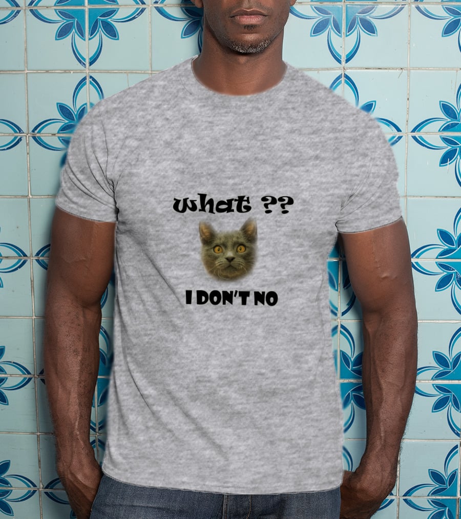 What Cat I Don't No T-Shirt