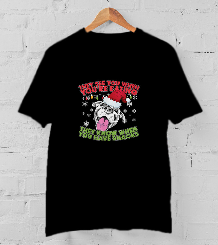 Christmas Pitbull Lover They See You When You're Eating Santa Hat Snowflakes T-Shirt
