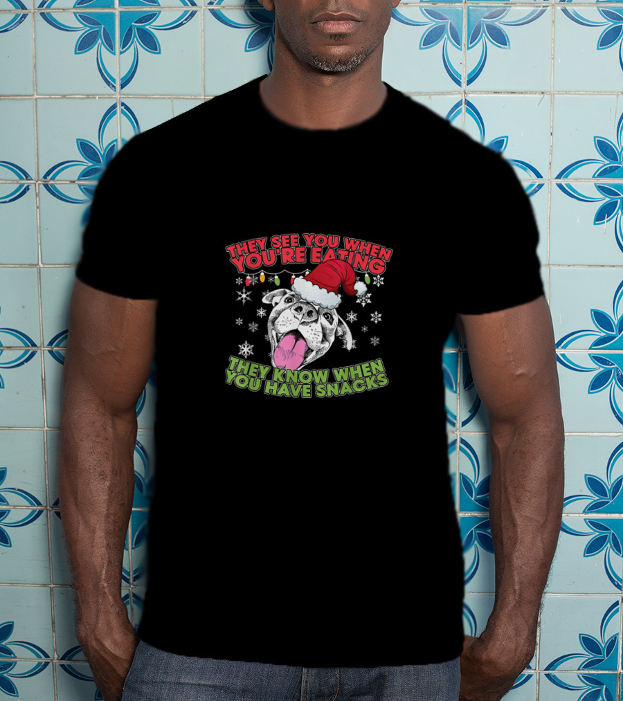 Christmas Pitbull Lover They See You When You're Eating Santa Hat Snowflakes T-Shirt