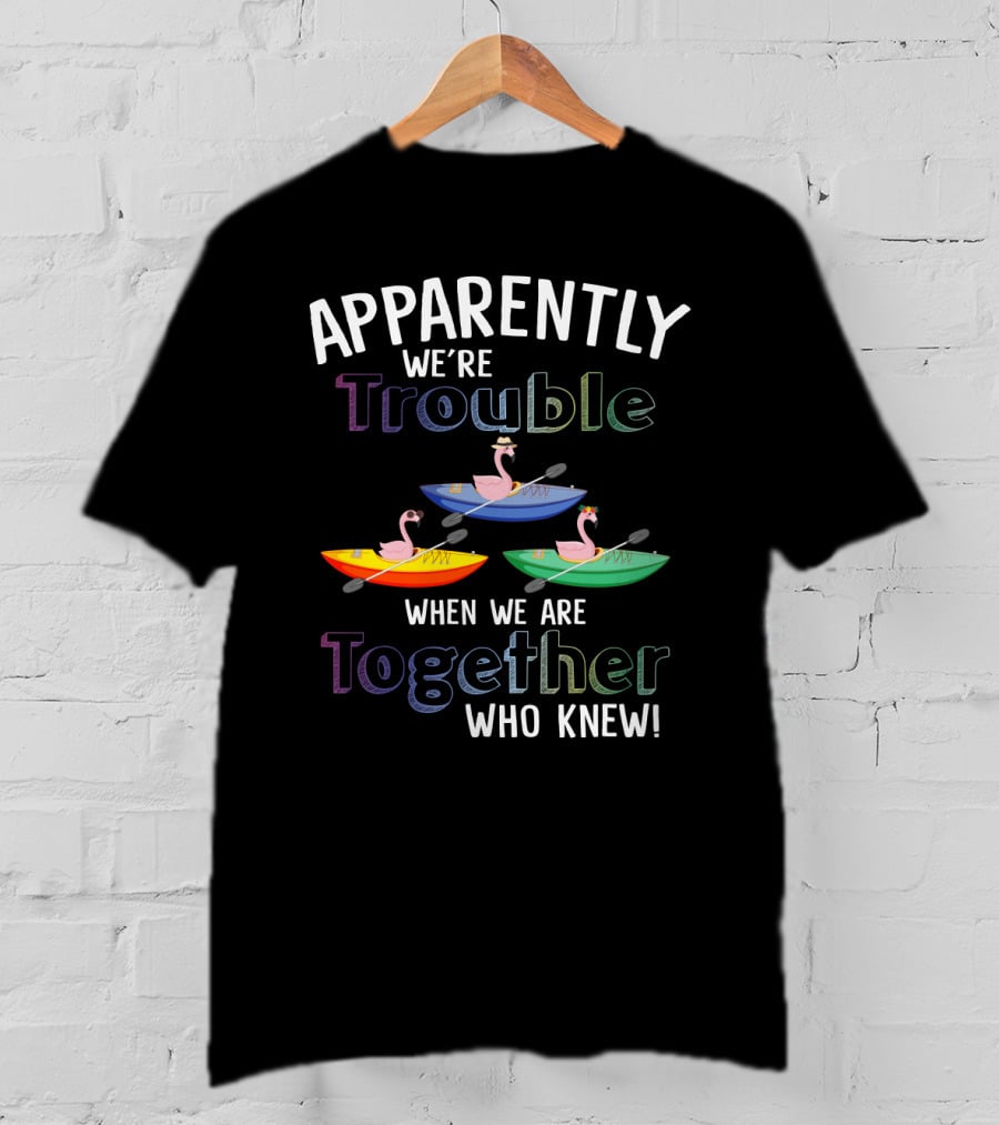 Apparently We're Trouble When Together Kayaking Flamingos Who Knew T-Shirt