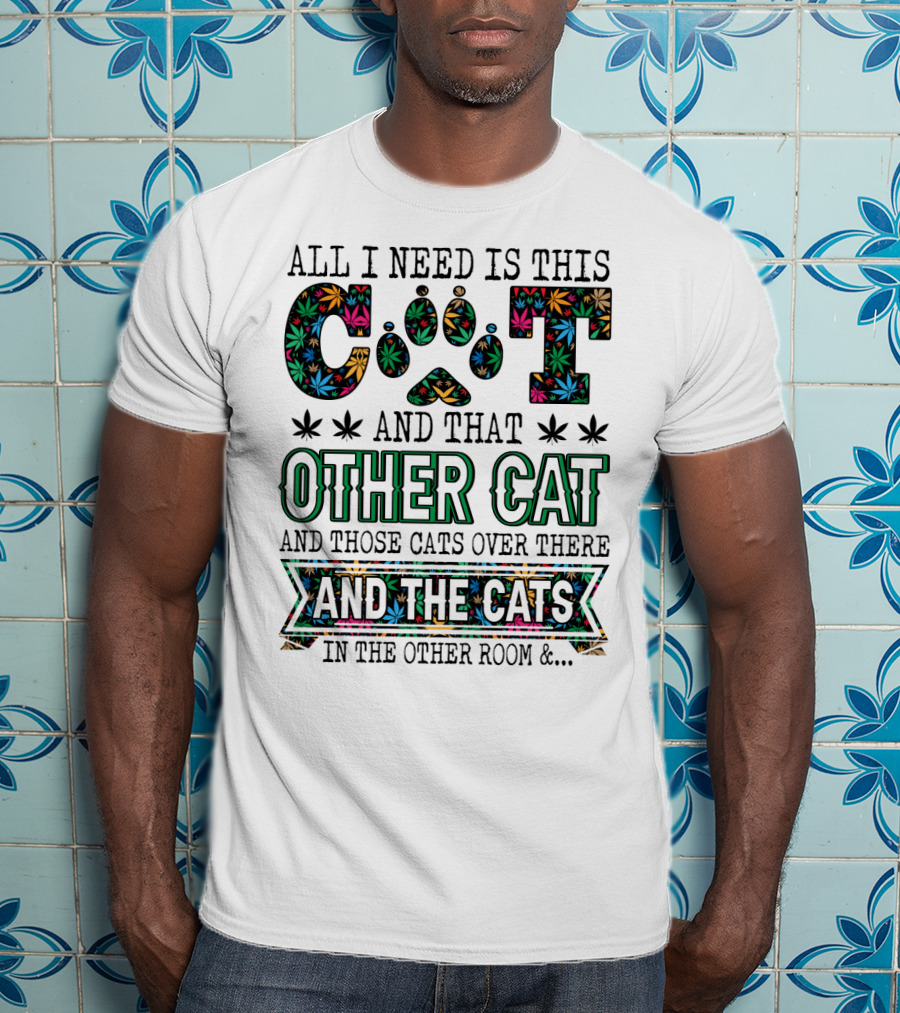 All I Need Is This Cat And That Other Cat And Those Cats Over There And The Cats In The Other Room T-Shirt