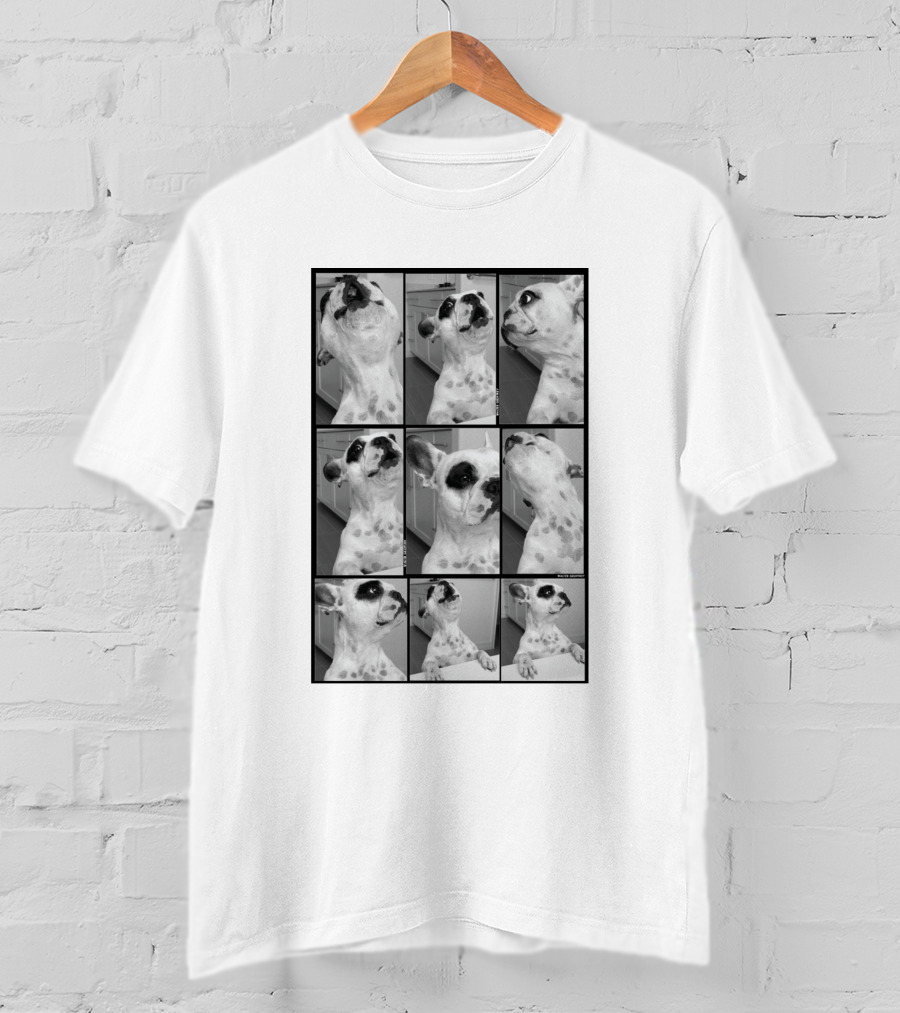Walter Geoffrey Merch Meltdown Dog Faces Collage City T-Shirt