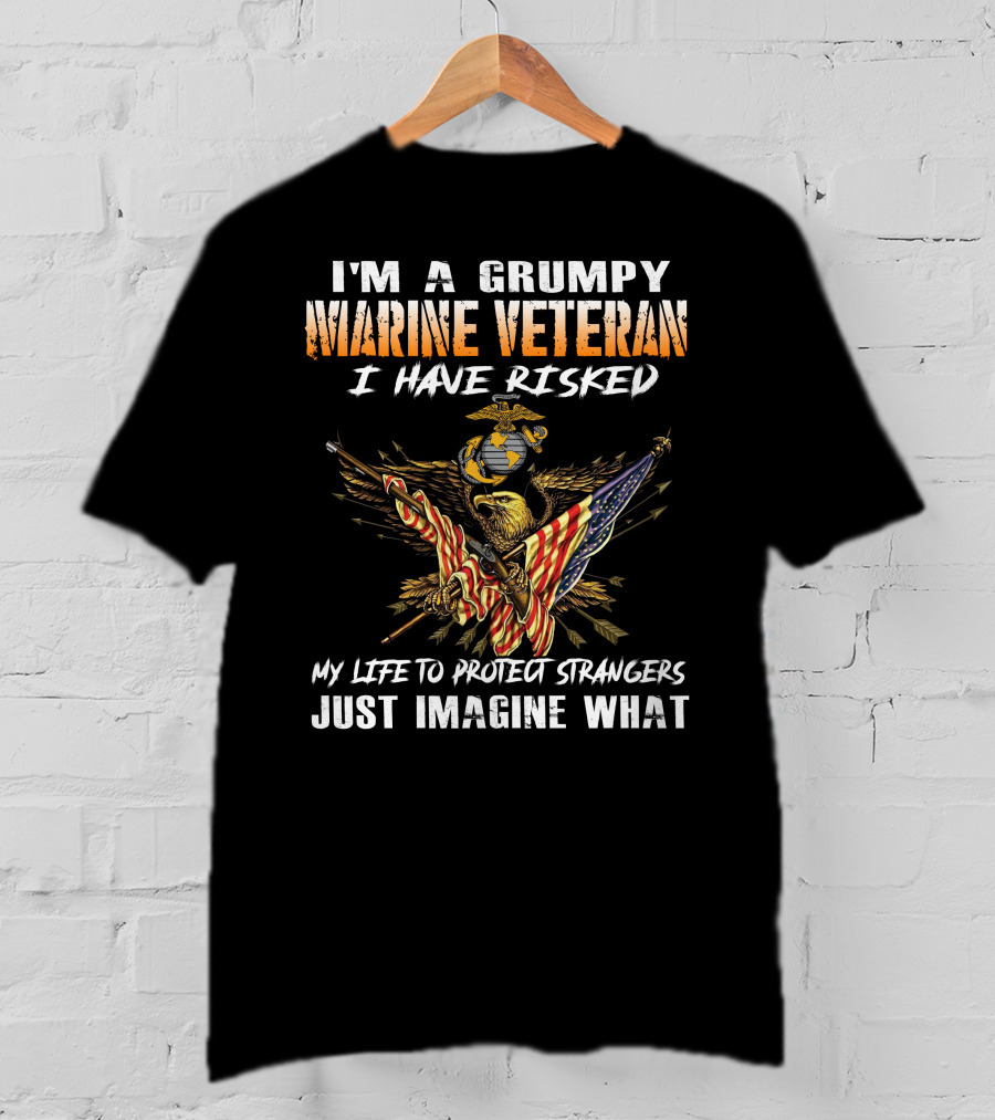 I'm A Grumpy Marine Veteran I Have Risked My Life To Protect Strangers Just Imagine What T-Shirt