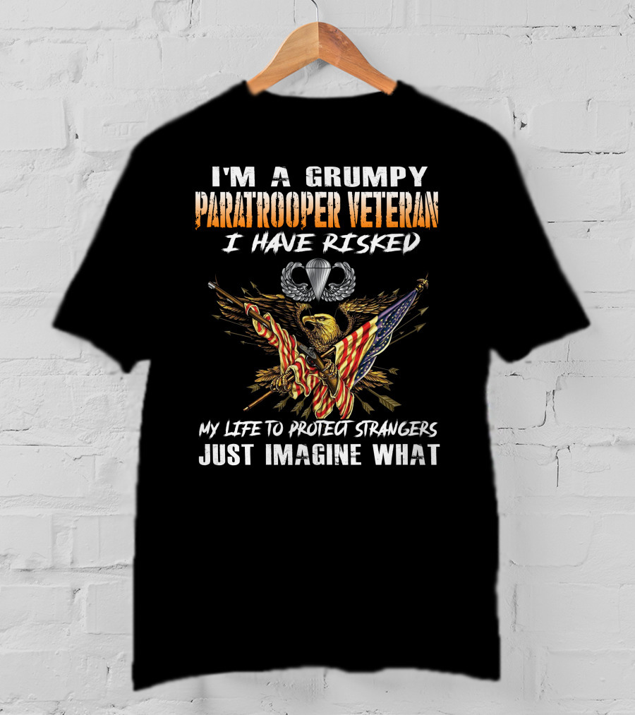 I'm A Grumpy Paratrooper Veteran I Have Risked My Life To Protect Strangers Just Imagine What T-Shirt
