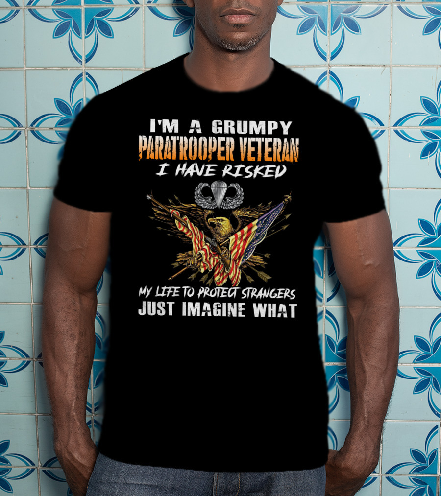 I'm A Grumpy Paratrooper Veteran I Have Risked My Life To Protect Strangers Just Imagine What T-Shirt