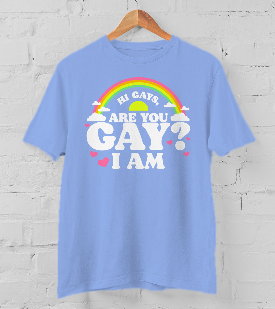 Chrissy Chlapecka Merch Hi Gays Are You Gay I Am With Rainbow And Hearts T-Shirt