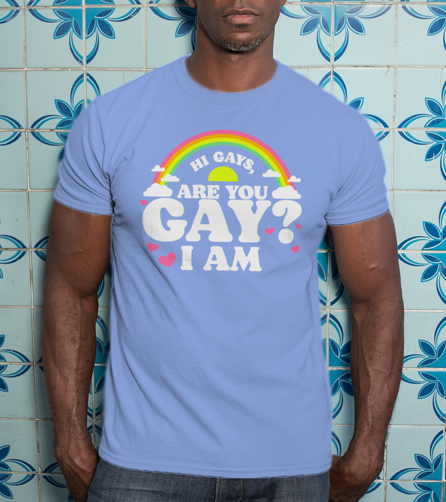 Chrissy Chlapecka Merch Hi Gays Are You Gay I Am With Rainbow And Hearts T-Shirt