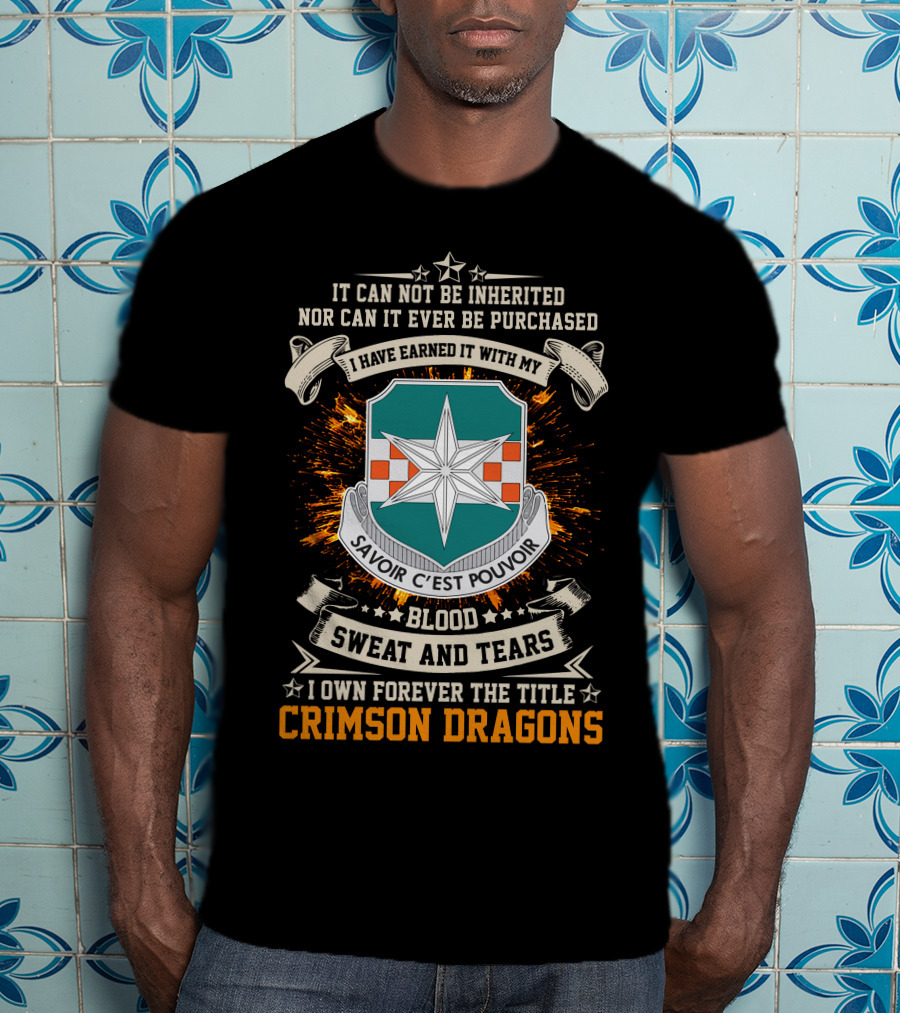 313th Military Intelligence Battalion Crimson Dragons Savoir C'est Pouvoir Blood Sweat And Tears T-Shirt