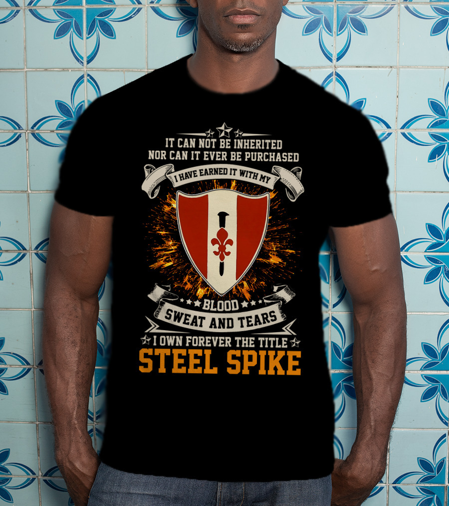 It Can Not Be Inherited Blood Sweat And Tears Steel Spike Crest 46th Engineers Battalion T-Shirt