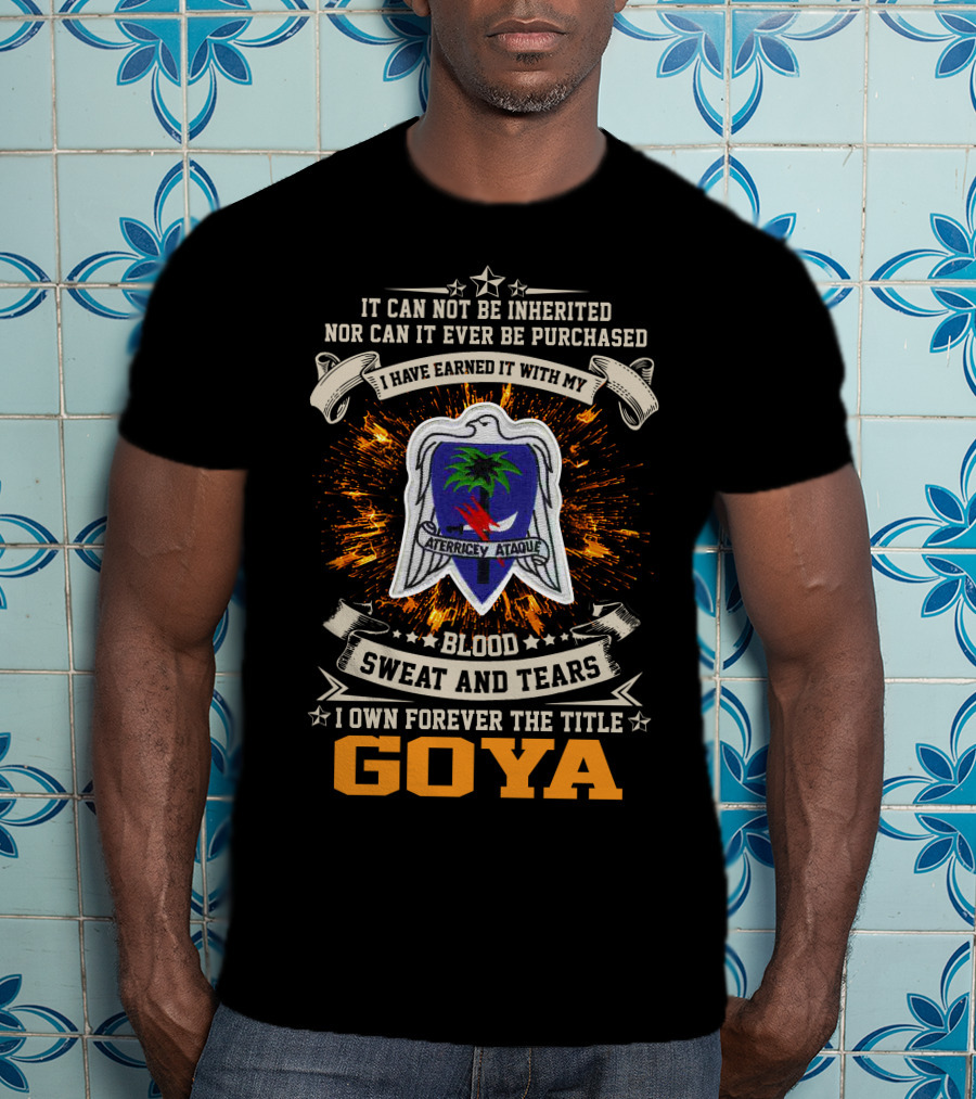 Blood Sweat And Tears Goya 551St Parachute Infantry Battalion Aterrice Y Ataque T-Shirt