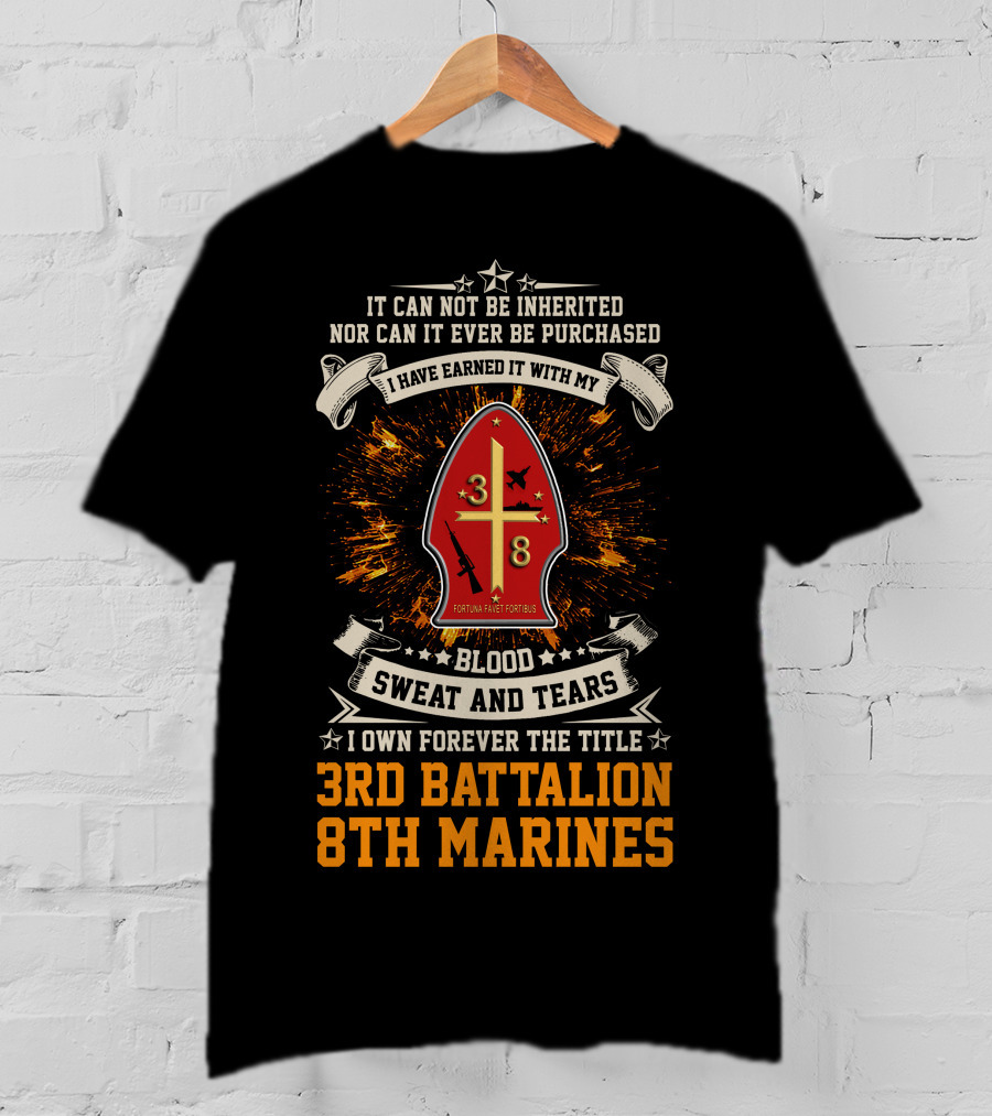 I Own Forever The Title 3Rd Battalion 8Th Marines Blood Sweat And Tears T-Shirt