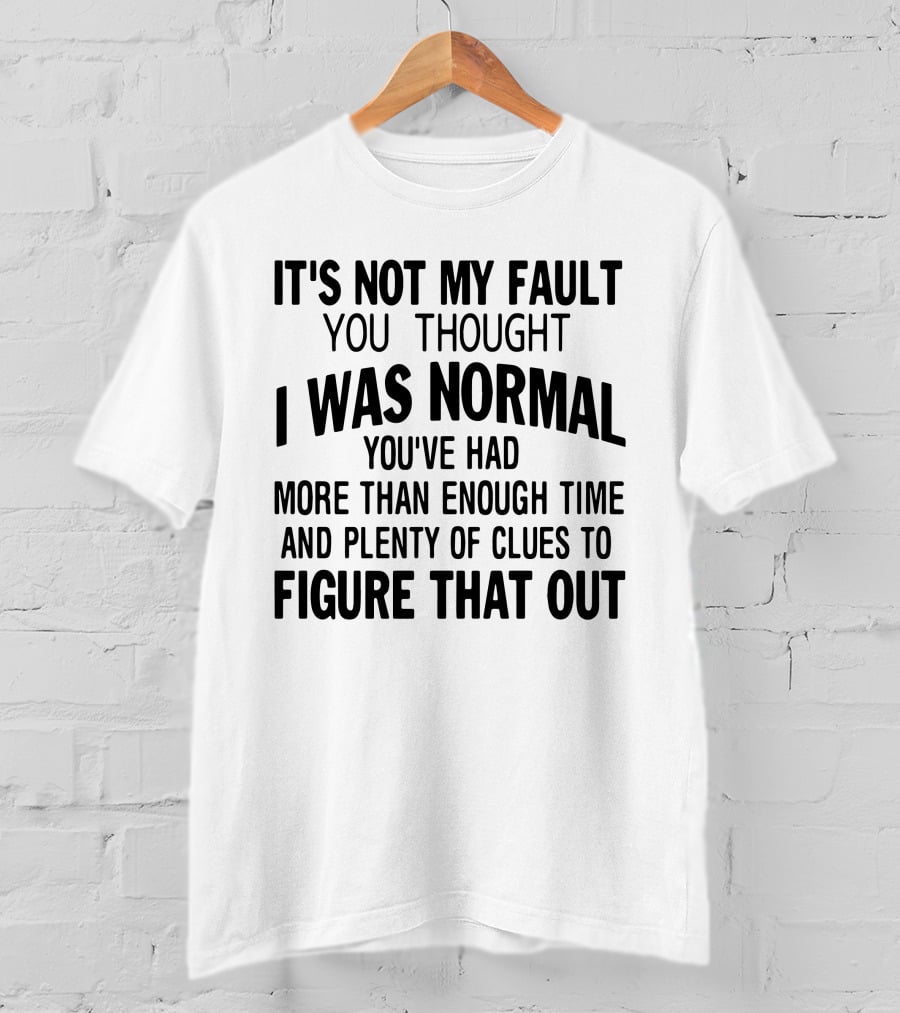It's Not My Fault You Thought I Was Normal You've Had More Than Enough Time And Plenty Of Clues To Figure That Out T-Shirt