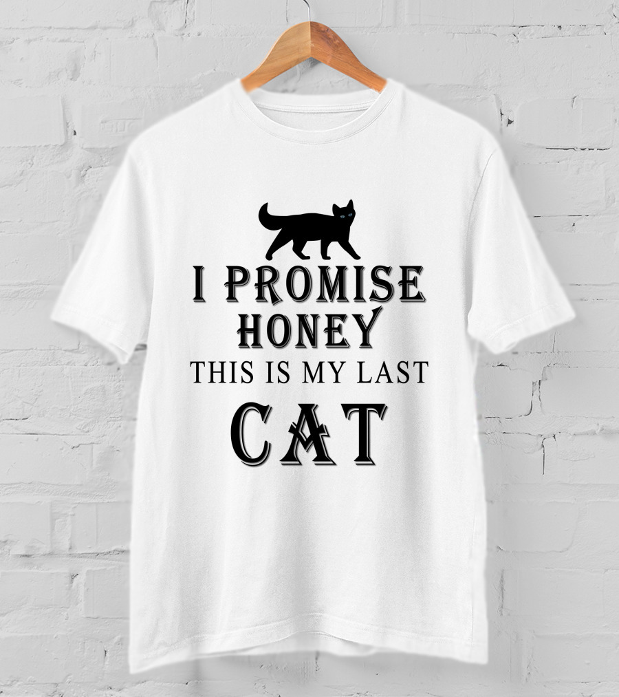 I Promise Honey This Is My Last Cat Black Cat T-Shirt