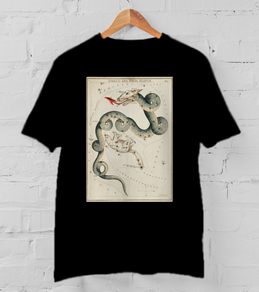 Draco And Ursa Minor Celestial Map T-Shirt