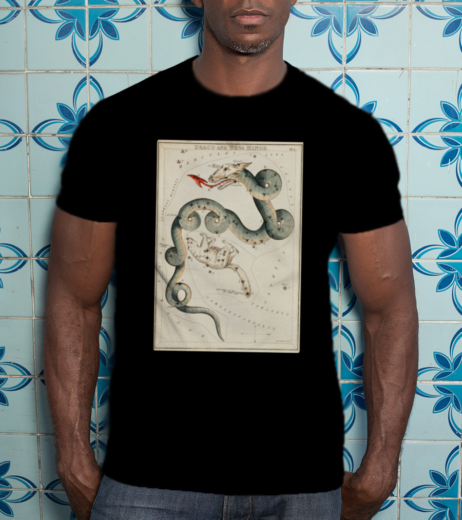 Draco And Ursa Minor Celestial Map T-Shirt