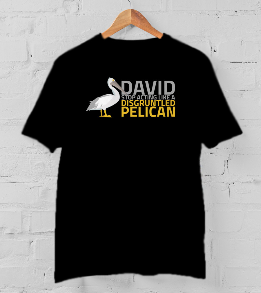 David Stop Acting Like A Disgruntled Pelican T-Shirt