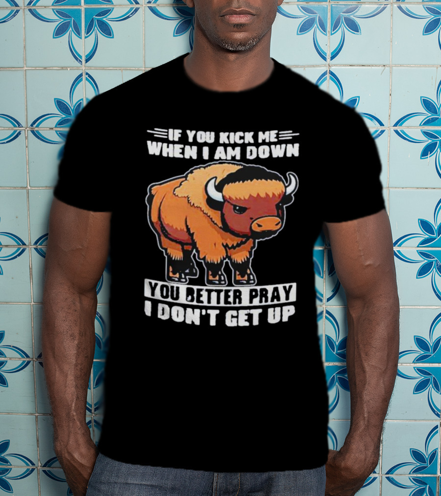 Buffalo If You Kick Me When I Am Down You Better Pray I Don’t Get Up T-Shirt
