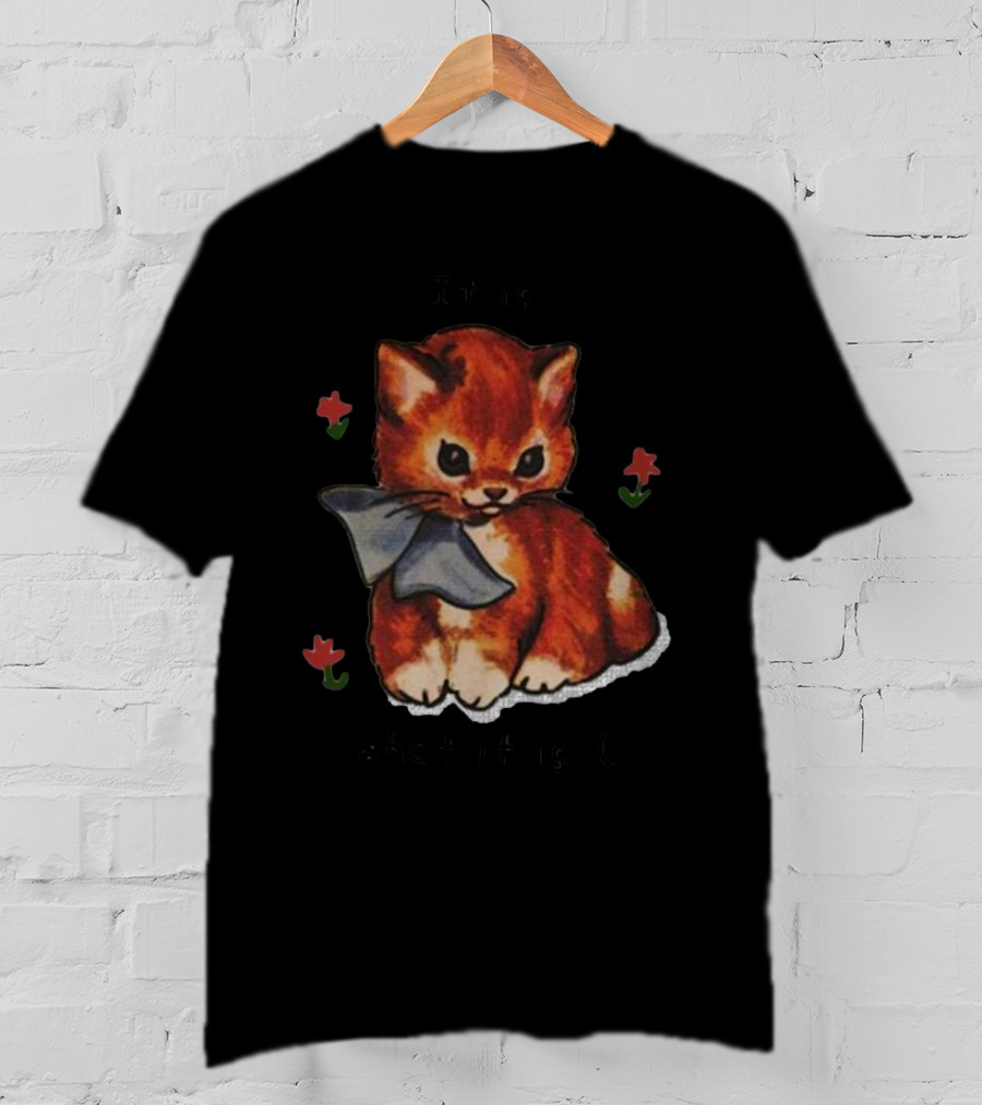 It Is What It Is Cat Sad Face With Flowers And Bow T-Shirt