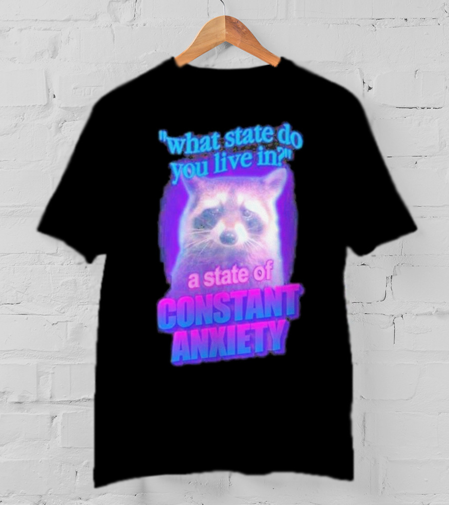 Raccoon In A State Of Constant Anxiety Meme T-Shirt