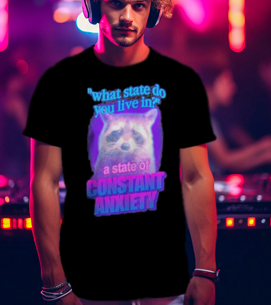 Raccoon In A State Of Constant Anxiety Meme T-Shirt