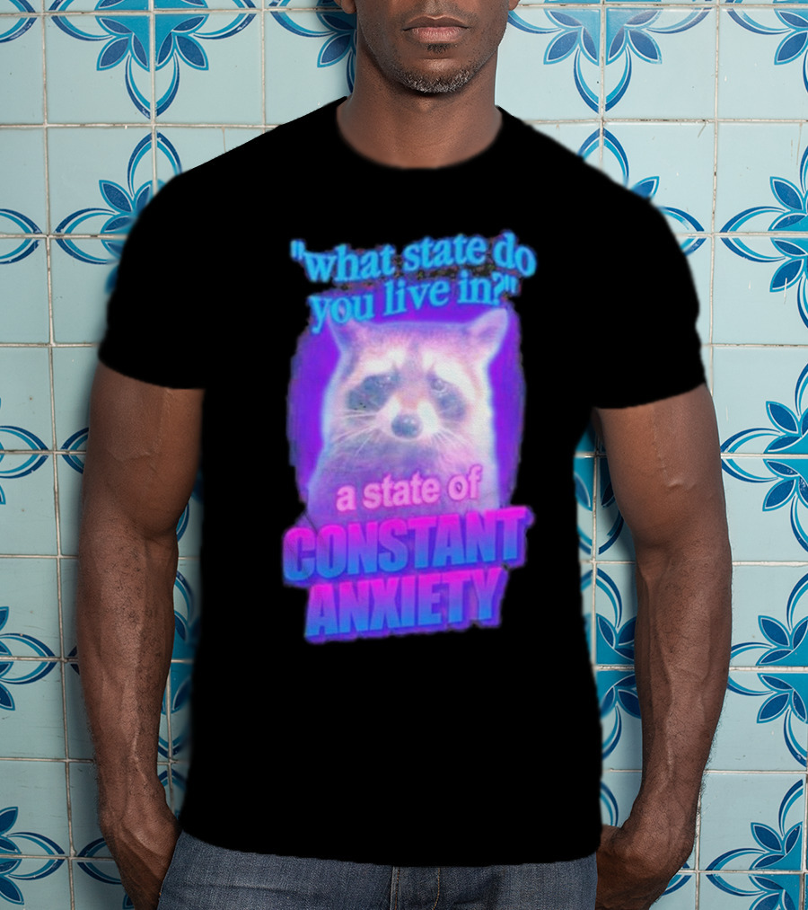 Raccoon In A State Of Constant Anxiety Meme T-Shirt