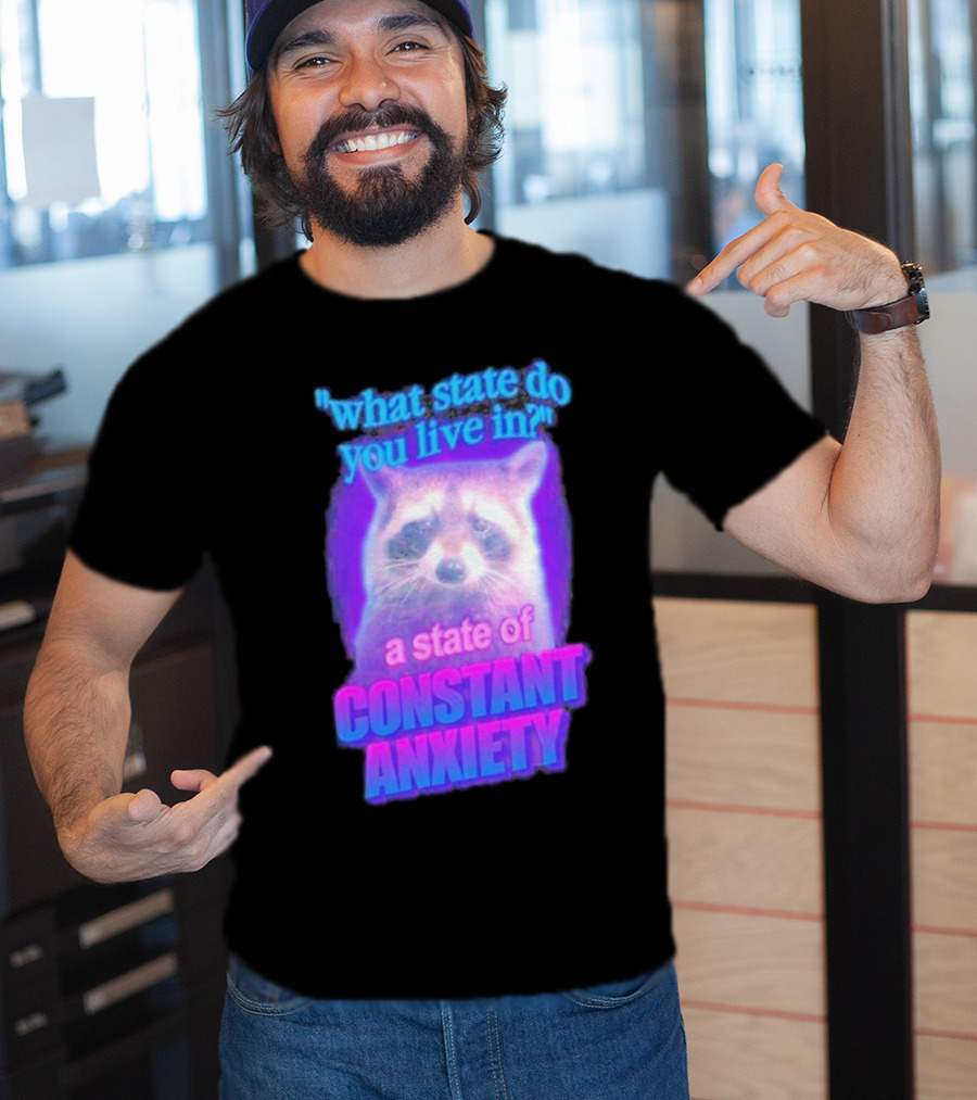 Raccoon In A State Of Constant Anxiety Meme T-Shirt