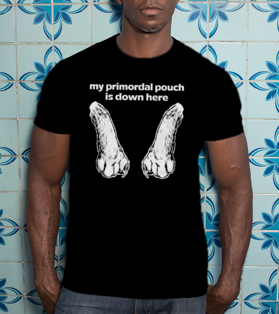 My Primordial Pouch Is Down Here Funny Cat Lover Graphic By Mango Island T-Shirt
