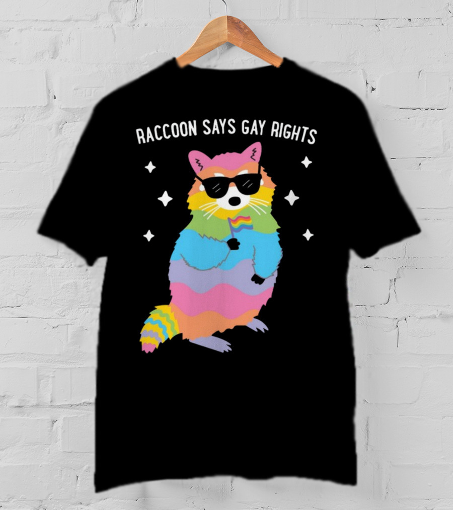 Raccoon Says Gay Rights Pride Rainbow Sunglasses Flag T-Shirt