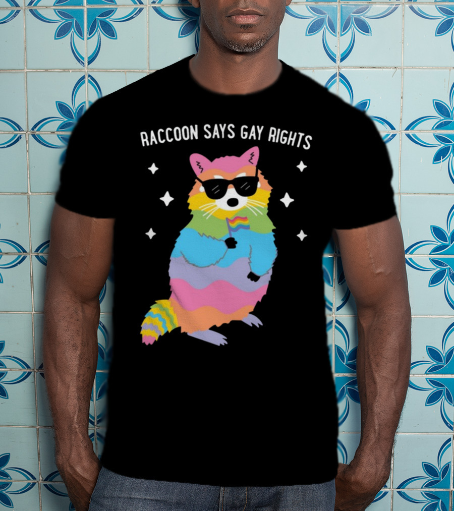 Raccoon Says Gay Rights Pride Rainbow Sunglasses Flag T-Shirt
