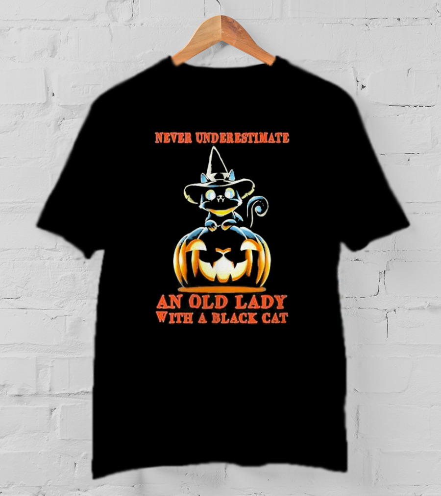 Never Underestimate An Old Lady With A Black Cat Halloween Pumpkin Witch Hat T-Shirt
