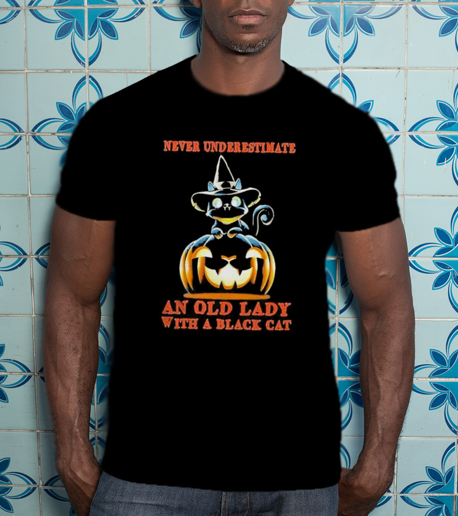 Never Underestimate An Old Lady With A Black Cat Halloween Pumpkin Witch Hat T-Shirt