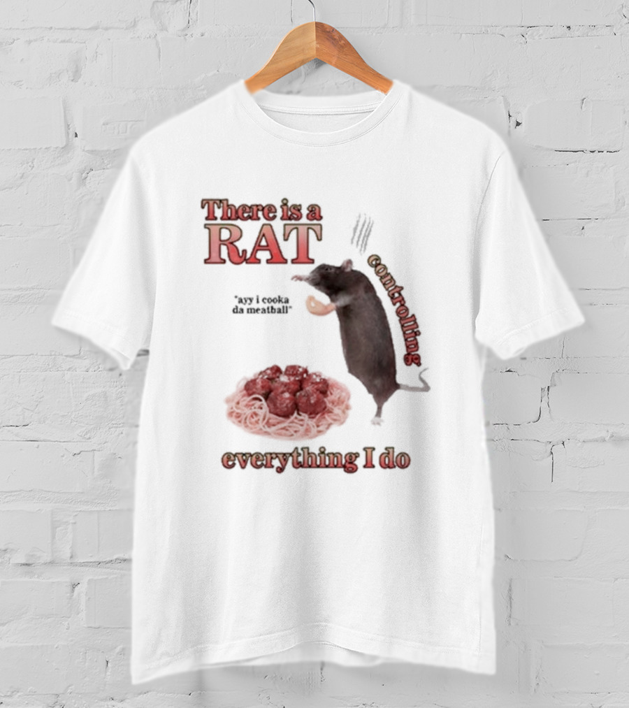 There Is A Rat Controlling Everything I Do Ayy I Cooka Da Meatball T-Shirt