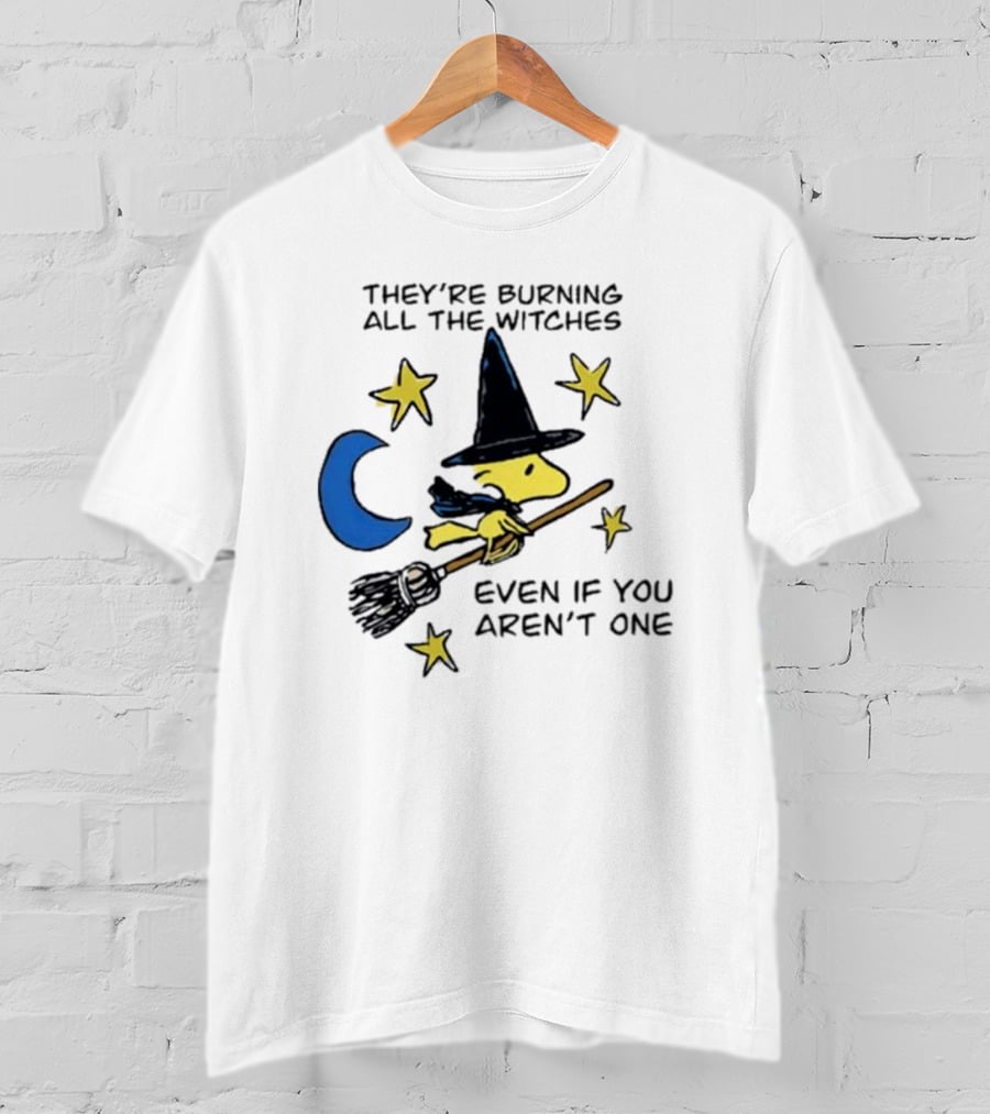 They’re Burning All The Witches Even If You Aren’t One Woodstock Wizard Stars Moon Broomstick T-Shirt