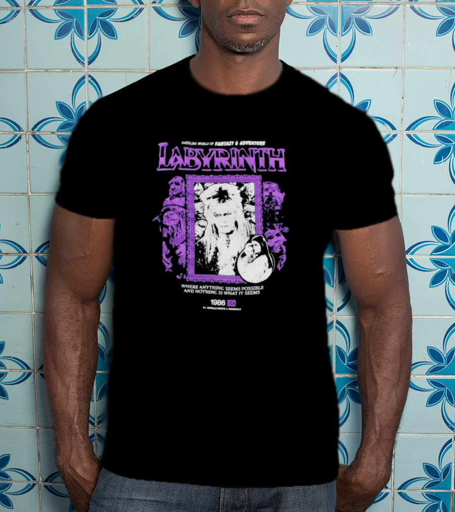 Dazzling World Of Fantasy And Adventure Labyrinth 1986 Where Anything Seems Possible And Nothing Is What It Seems T-Shirt