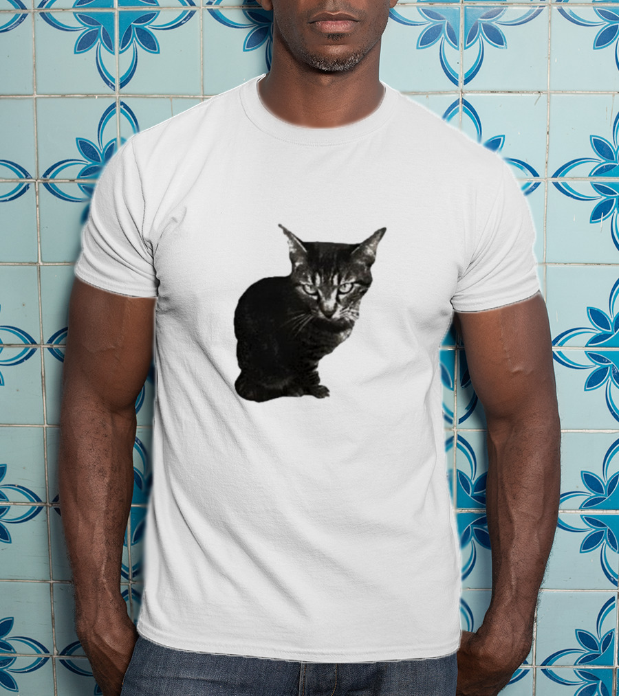 Smileymaya15 How Long Have I Been Here Kitten Cat Black Gray Tabby T-Shirt