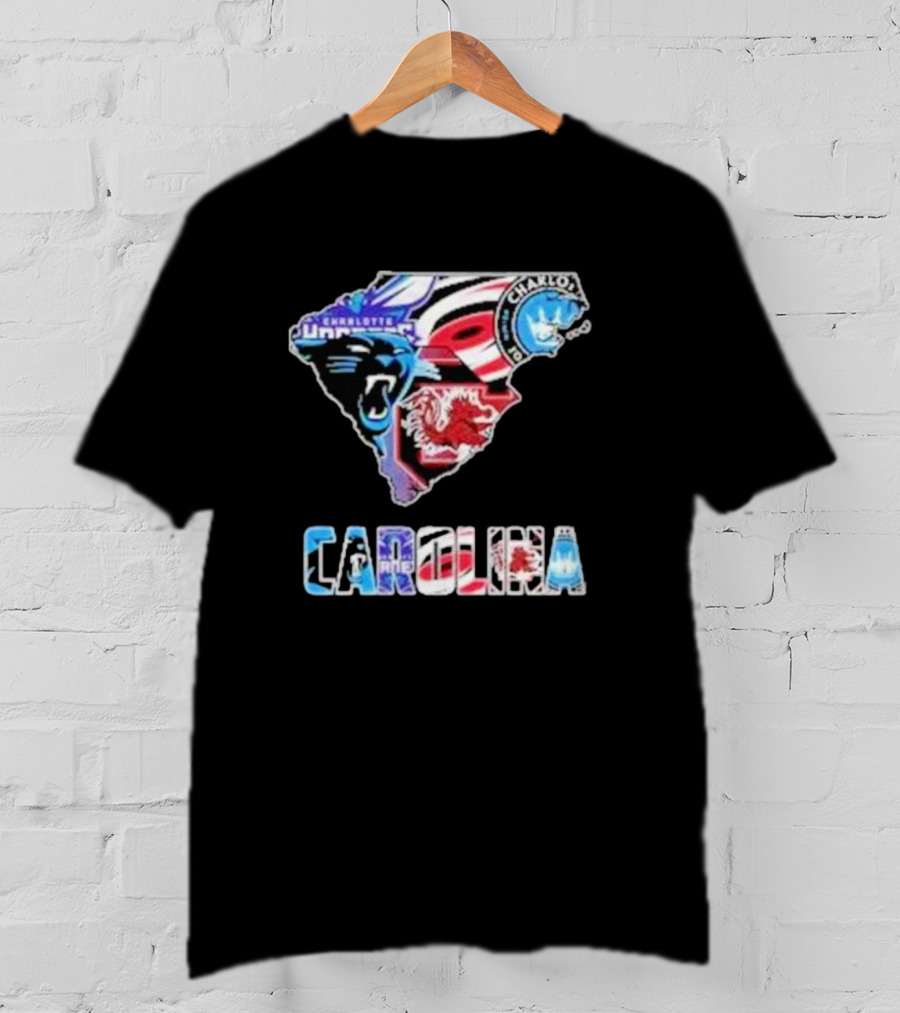 Carolina Panthers South Carolina Gamecocks Charlotte FC Hurricanes Carolina T-Shirt