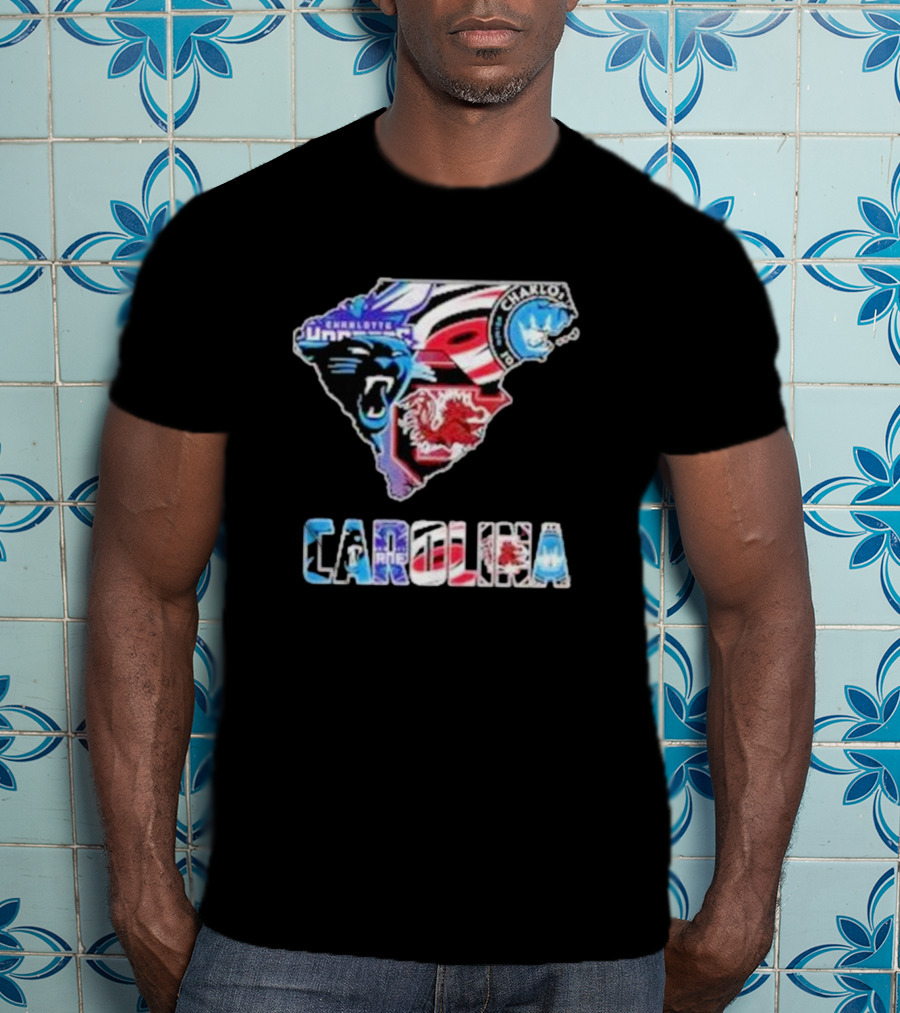 Carolina Panthers South Carolina Gamecocks Charlotte FC Hurricanes Carolina T-Shirt