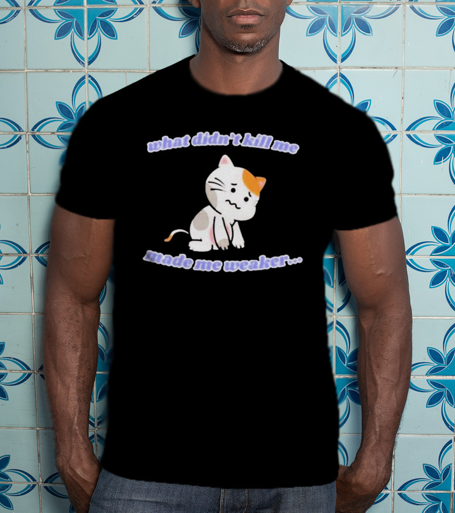 What Didn’t Kill Me Made Me Weaker Sad Cat T-Shirt