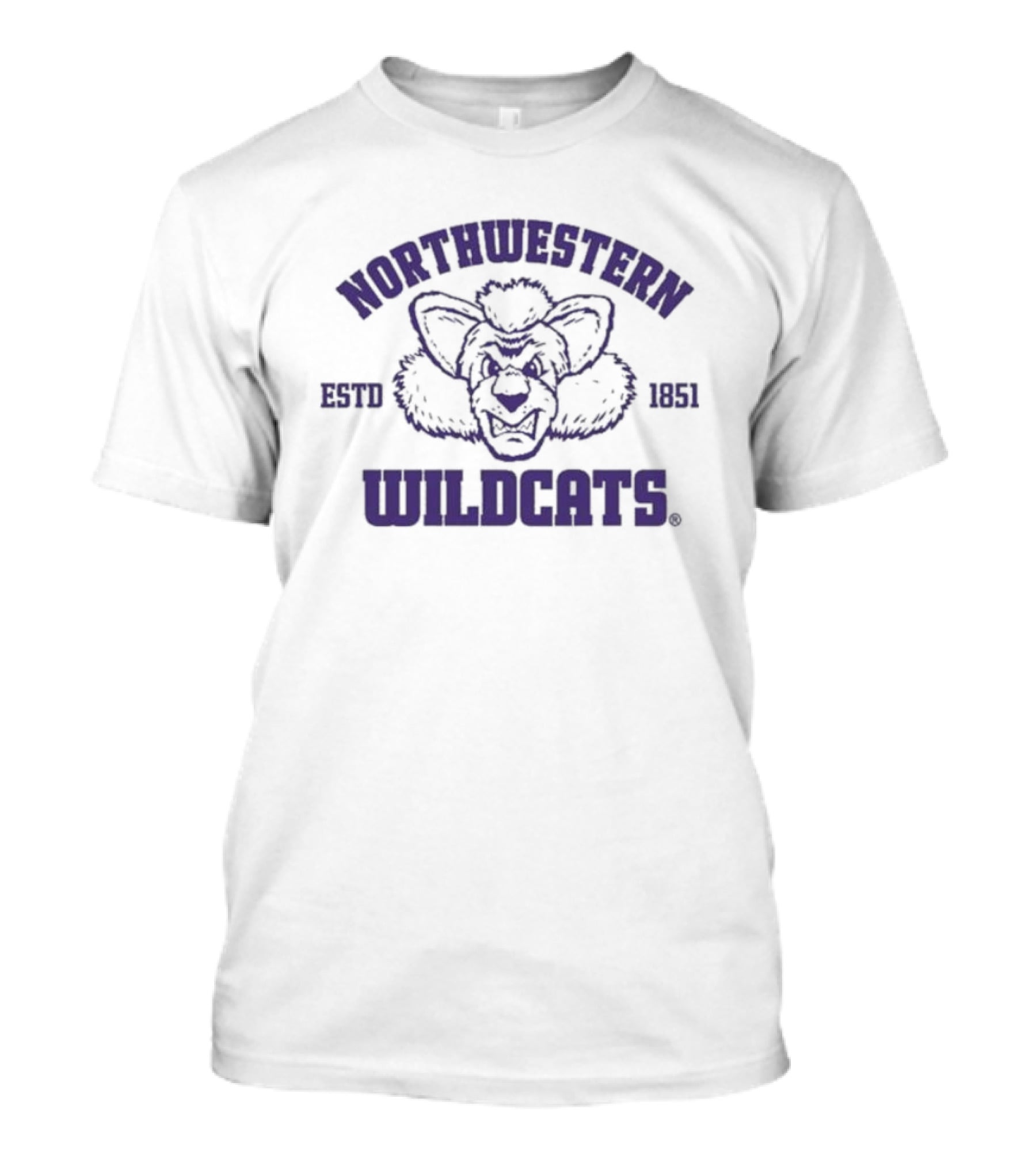 Northwestern Wildcats ESTD 1851 Sport Grey Women’s Lacrosse Willie T-Shirt