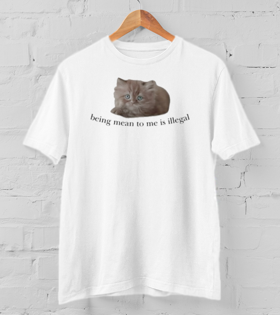 Being Mean To Me Is Illegal Cute Orange Cat T-Shirt