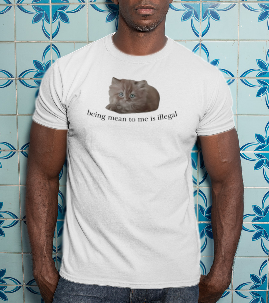 Being Mean To Me Is Illegal Cute Orange Cat T-Shirt