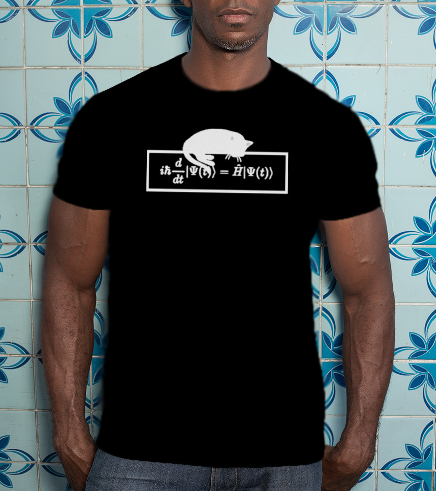 Schrodinger Equation Cat Quantum Physics Humor Psi Function T-Shirt