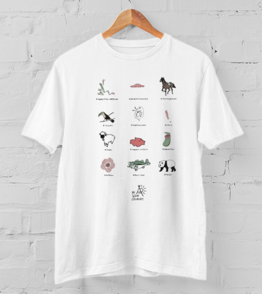 Usa C Gsc Various Motif Back Print Pkt Loose Fitting Garden Snake Manhattan Horse Puffin Dragonfly Great Barrier Reef Poppy Sheep Strawberry Fire Flower Caiman Panda Arles Cezanne T-Shirt