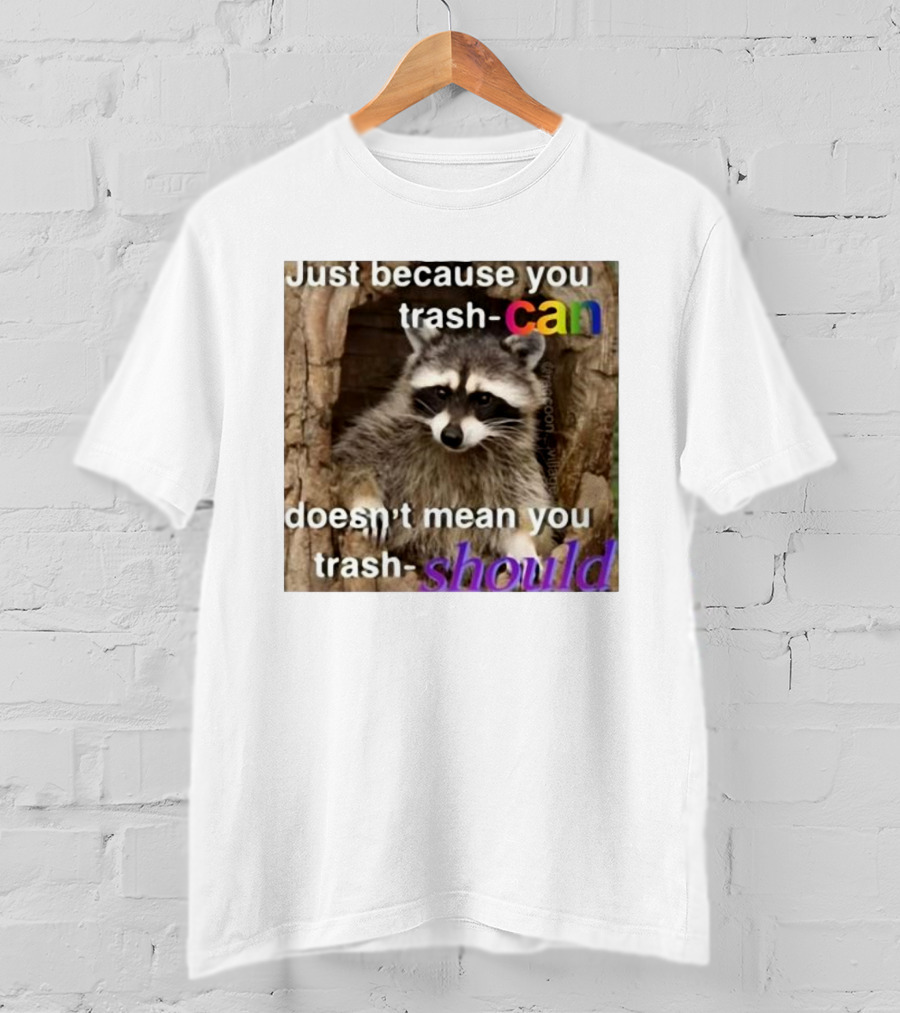 Just Because You Trash Can Doesn’t Mean You Trash Should Raccoon T-Shirt