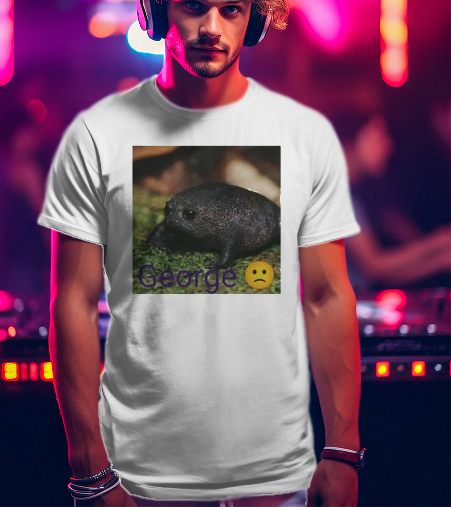 George Sad Frog Meme Inspired Image T-Shirt