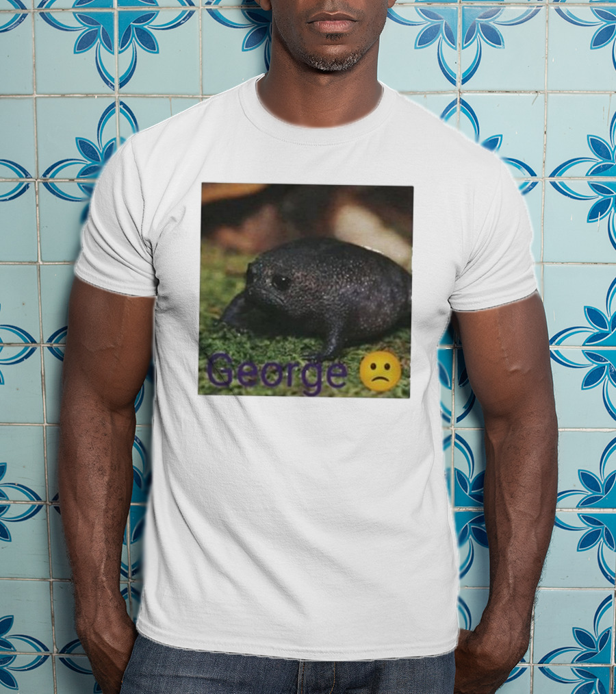 George Sad Frog Meme Inspired Image T-Shirt