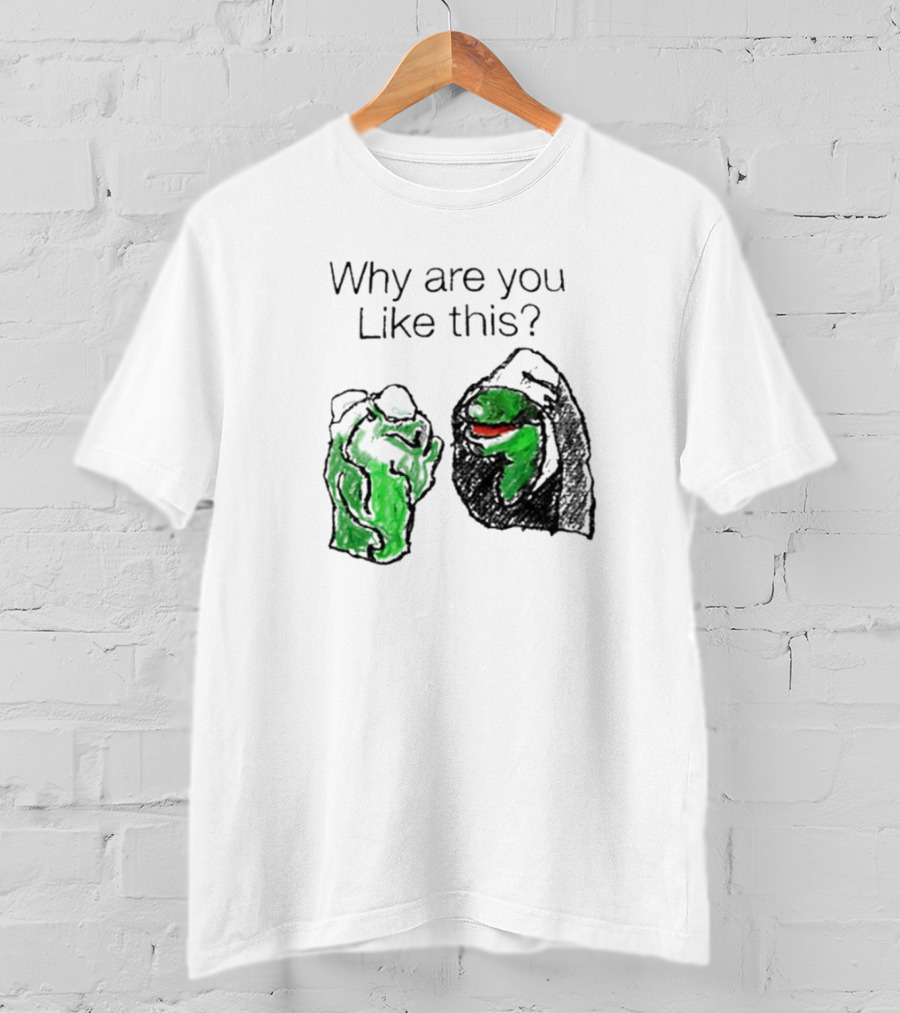 Why Are You Like This Meme Frog Hoodie Inner Self Conflict T-Shirt