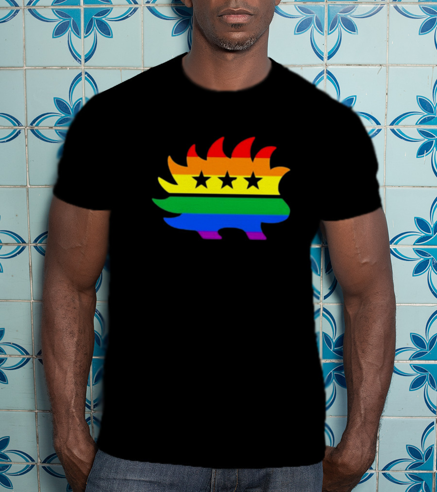 Dr. Simon Goddek Libertarian Porcupine Rainbow Flag Stars T-Shirt