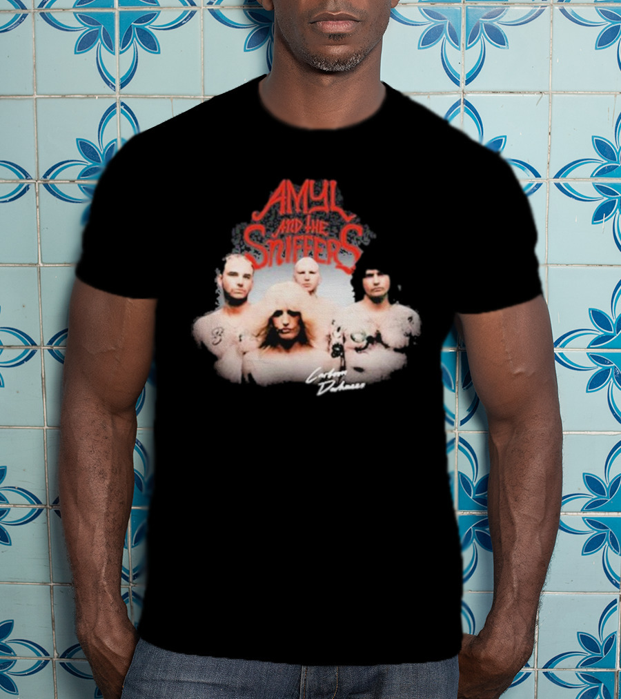 Amyl And The Sniffers Band Comfort To Me Logo Photo T-Shirt